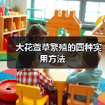 大花萱草繁殖的四种实用方法（图4）