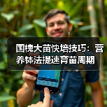国槐大苗快培技巧:营养钵法提速育苗周期(图2) 国槐大苗快培技巧:营养钵法提速育苗周期(图2)