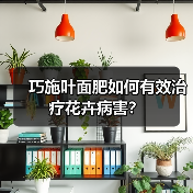 巧施叶面肥如何有效治疗花卉病害?(图2) 巧施叶面肥如何有效治疗花卉病害?(图2)