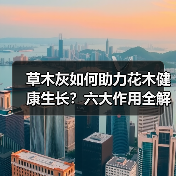 草木灰如何助力花木健康生长?六大作用全解析(图4) 草木灰如何助力花木健康生长?六大作用全解析(图4)
