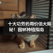十大功劳药用价值大揭秘！园林种植指南