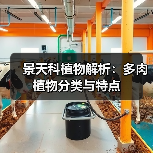 景天科植物解析:多肉植物分类与特点(图1) 景天科植物解析:多肉植物分类与特点(图1)