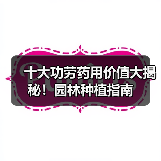 十大功劳药用价值大揭秘！园林种植指南（图2）