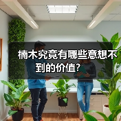 楠木究竟有哪些意想不到的价值?(图2) 楠木究竟有哪些意想不到的价值?(图2)