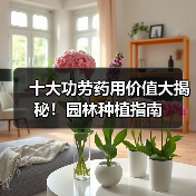十大功劳药用价值大揭秘！园林种植指南（图3）