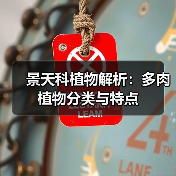景天科植物解析:多肉植物分类与特点(图2) 景天科植物解析:多肉植物分类与特点(图2)