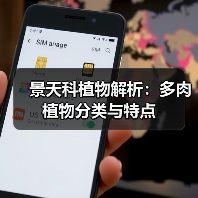 景天科植物解析:多肉植物分类与特点(图3) 景天科植物解析:多肉植物分类与特点(图3)