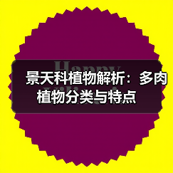 景天科植物解析:多肉植物分类与特点(图4) 景天科植物解析:多肉植物分类与特点(图4)