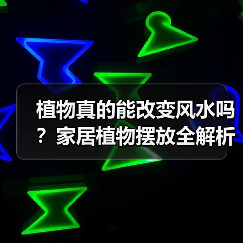 植物真的能改变风水吗？家居植物摆放全解析（图2）