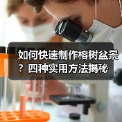如何快速制作榕树盆景?四种实用方法揭秘(图1) 如何快速制作榕树盆景?四种实用方法揭秘(图1)