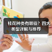 桂花种类有哪些?四大类型详解与推荐(图3) 桂花种类有哪些?四大类型详解与推荐(图3)