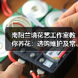 南阳兰境花艺工作室教你养花:选购维护及常见问题指南(图4) 南阳兰境花艺工作室教你养花:选购维护及常见问题指南(图4)