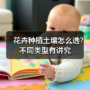 花卉种植土壤怎么选?不同类型有讲究(图4) 花卉种植土壤怎么选?不同类型有讲究(图4)