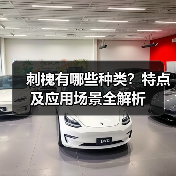 刺槐有哪些种类?特点及应用场景全解析(图2) 刺槐有哪些种类?特点及应用场景全解析(图2)