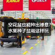 空花盆也能种出绿意?水果种子盆栽这样玩(图2) 空花盆也能种出绿意?水果种子盆栽这样玩(图2)