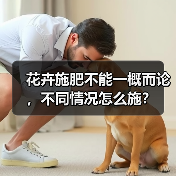 花卉施肥不能一概而论，不同情况怎么施？