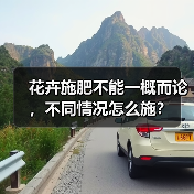 花卉施肥不能一概而论,不同情况怎么施?(图2) 花卉施肥不能一概而论,不同情况怎么施?(图2)