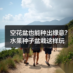 空花盆也能种出绿意?水果种子盆栽这样玩(图4) 空花盆也能种出绿意?水果种子盆栽这样玩(图4)