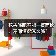 花卉施肥不能一概而论,不同情况怎么施?(图4) 花卉施肥不能一概而论,不同情况怎么施?(图4)