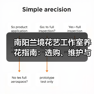 南阳兰境花艺工作室养花指南：选购、维护与常见问题解析