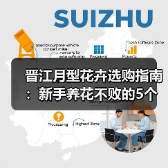 晋江月型花卉选购指南:新手养花不败的5个核心方法(图2) 晋江月型花卉选购指南:新手养花不败的5个核心方法(图2)