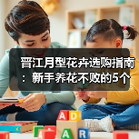 晋江月型花卉选购指南:新手养花不败的5个核心方法(图1) 晋江月型花卉选购指南:新手养花不败的5个核心方法(图1)