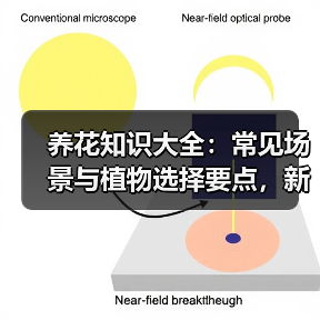 养花知识大全：常见场景与植物选择要点，新手必看技巧