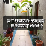 晋江月型花卉选购指南:新手养花不败的5个核心方法(图4) 晋江月型花卉选购指南:新手养花不败的5个核心方法(图4)