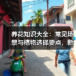 养花知识大全:常见场景与植物选择要点,新手必看技巧(图3) 养花知识大全:常见场景与植物选择要点,新手必看技巧(图3)