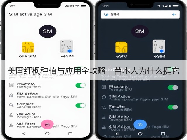 美国红枫种植与应用全攻略|苗木人为什么挺它 美国红枫种植与应用全攻略|苗木人为什么挺它