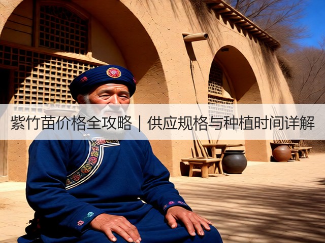 紫竹苗价格全攻略|供应规格与种植时间详解 紫竹苗价格全攻略|供应规格与种植时间详解
