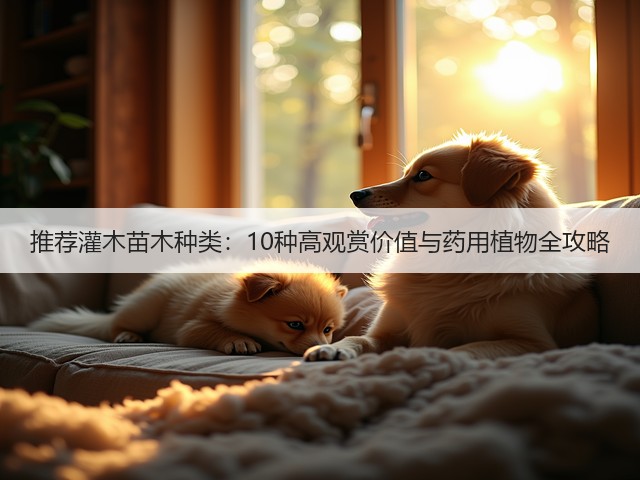 推荐灌木苗木种类：10种高观赏价值与药用植物全攻略