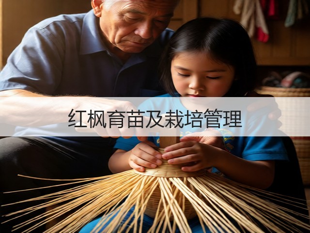 红枫育苗及栽培管理 红枫育苗及栽培管理