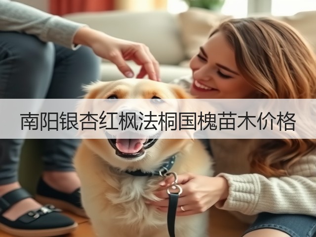 南阳银杏红枫法桐国槐苗木价格 南阳银杏红枫法桐国槐苗木价格