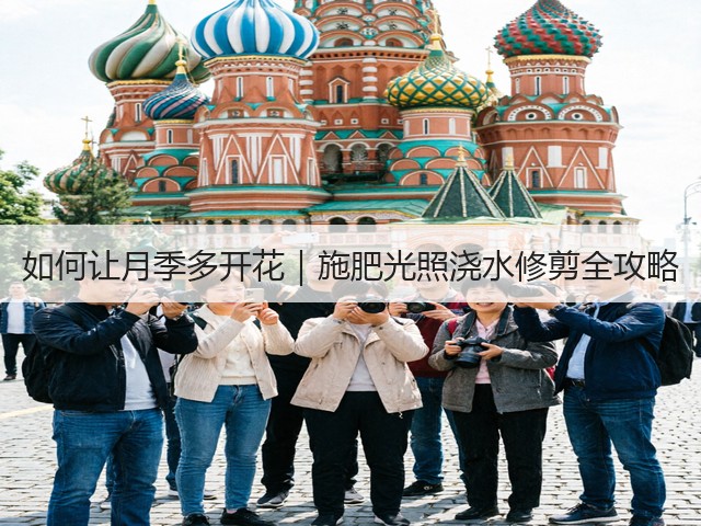 如何让月季多开花｜施肥光照浇水修剪全攻略