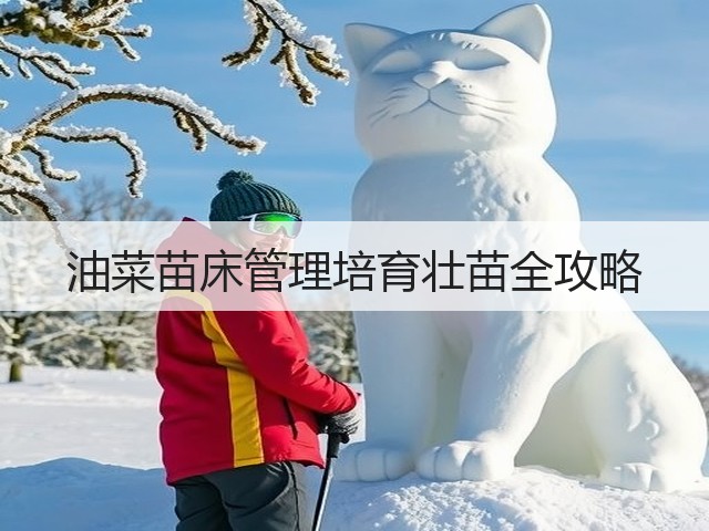 油菜苗床管理培育壮苗全攻略 油菜苗床管理培育壮苗全攻略