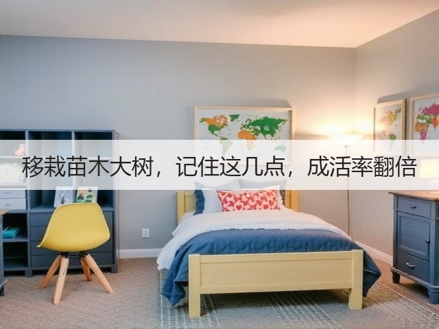 移栽苗木大树,记住这几点,成活率翻倍 移栽苗木大树,记住这几点,成活率翻倍