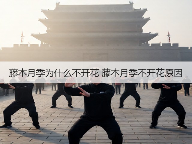 藤本月季为什么不开花 藤本月季不开花原因 藤本月季为什么不开花 藤本月季不开花原因