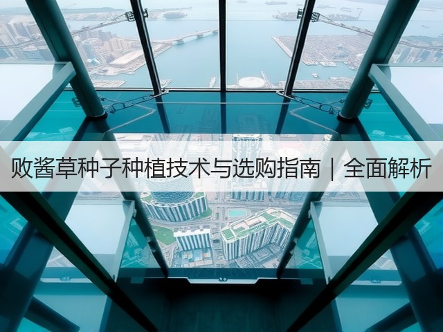 败酱草种子种植技术与选购指南｜全面解析
