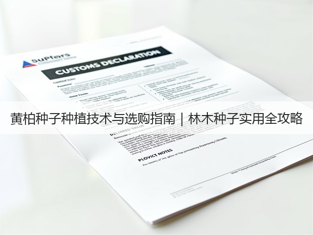 黄柏种子种植技术与选购指南｜林木种子实用全攻略