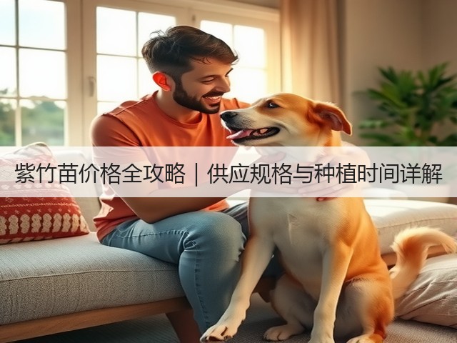 紫竹苗价格全攻略|供应规格与种植时间详解 紫竹苗价格全攻略|供应规格与种植时间详解