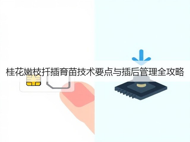 桂花嫩枝扦插育苗技术要点与插后管理全攻略 桂花嫩枝扦插育苗技术要点与插后管理全攻略
