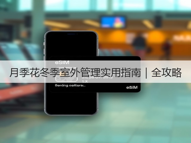 月季花冬季室外管理实用指南|全攻略 月季花冬季室外管理实用指南|全攻略