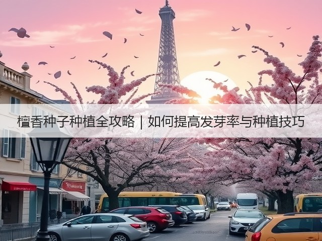 檀香种子种植全攻略｜如何提高发芽率与种植技巧