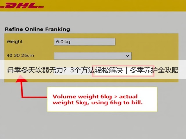 月季冬天软弱无力?3个方法轻松解决|冬季养护全攻略 月季冬天软弱无力?3个方法轻松解决|冬季养护全攻略