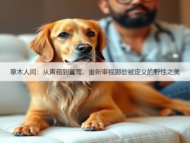 草木人间：从青葙到黄莺，重新审视那些被定义的野性之美