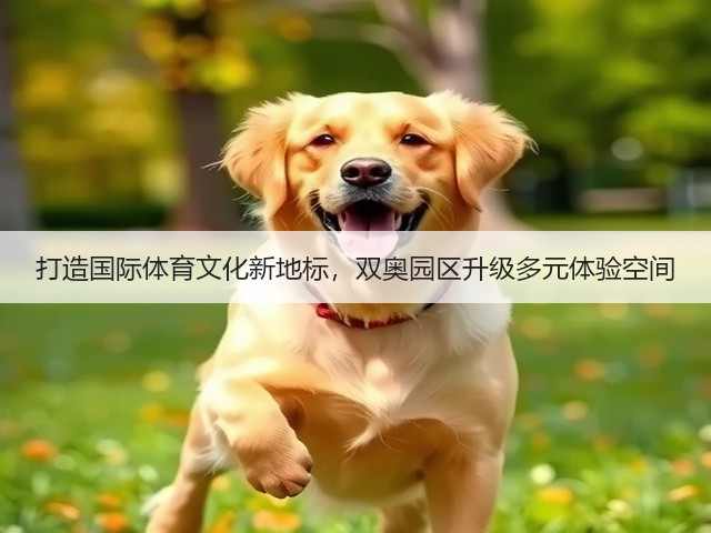 打造国际体育文化新地标，双奥园区升级多元体验空间