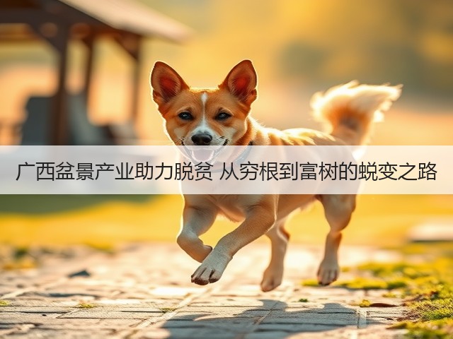 广西盆景产业助力脱贫 从穷根到富树的蜕变之路 广西盆景产业助力脱贫 从穷根到富树的蜕变之路