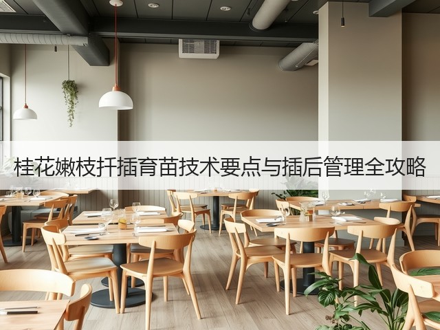 桂花嫩枝扦插育苗技术要点与插后管理全攻略 桂花嫩枝扦插育苗技术要点与插后管理全攻略