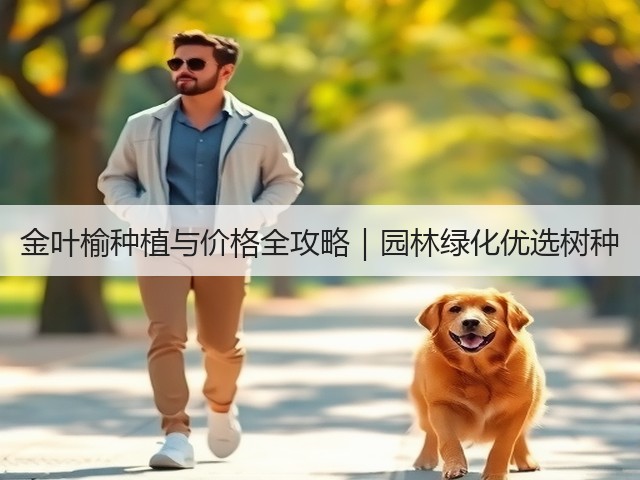 金叶榆种植与价格全攻略|园林绿化优选树种 金叶榆种植与价格全攻略|园林绿化优选树种
